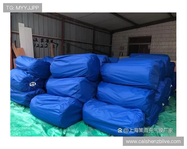 十一选五开奖结果查询技巧与号码走势分析指南全面解读实用详解