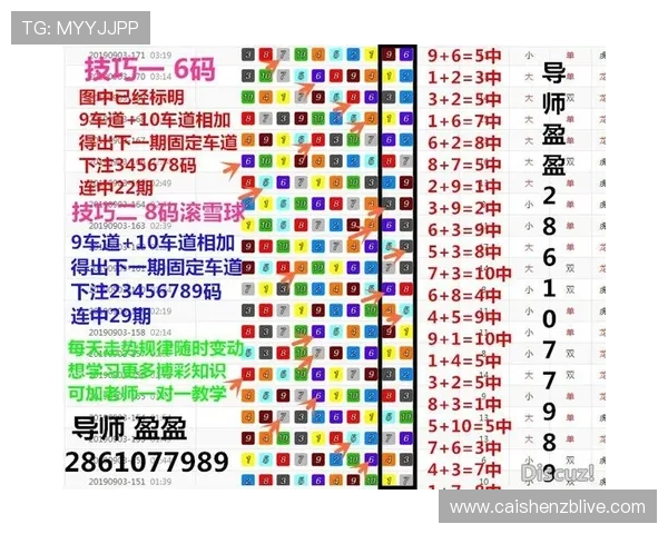 幸运飞艇技巧与策略全解析助你提高中奖概率的方法指南