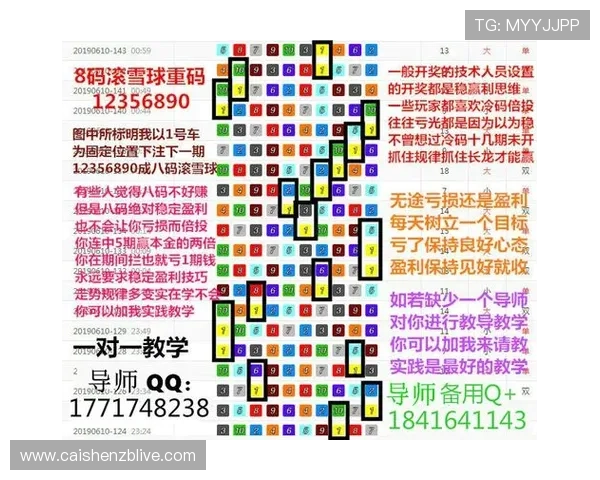揭秘幸运飞艇背后的运作规律与投注技巧全解析