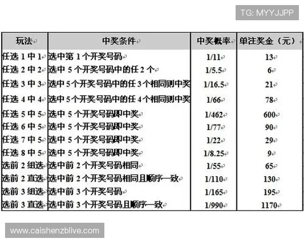 掌握彩票公式规律提升中奖几率的实用技巧解析 掌握彩票公式规律提升中奖几率的实用技巧解析